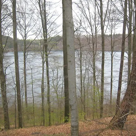 Apartment Spacious With Sauna In *